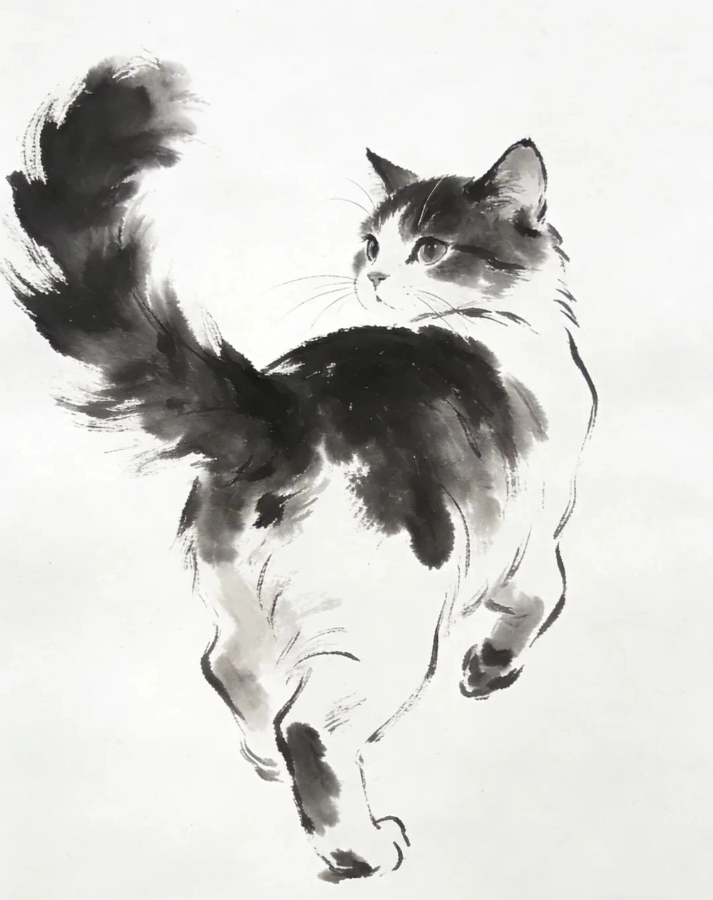 ảnh vẽ anime mèo phong cách cute