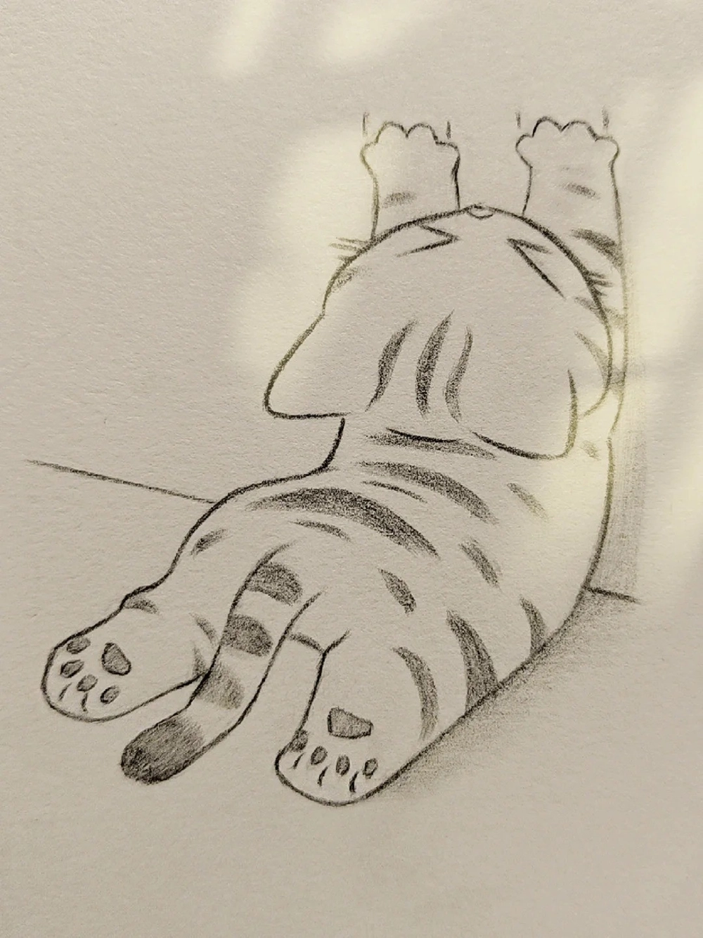 hình vẽ con mèo anime dễ thương nhất