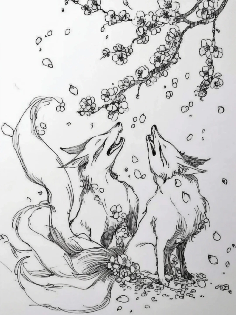 vẽ anime hồ ly thần thái bí ẩn