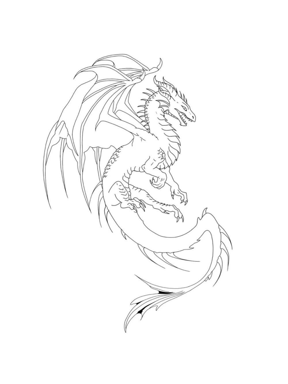 hướng dẫn cách vẽ rồng anime từng bước