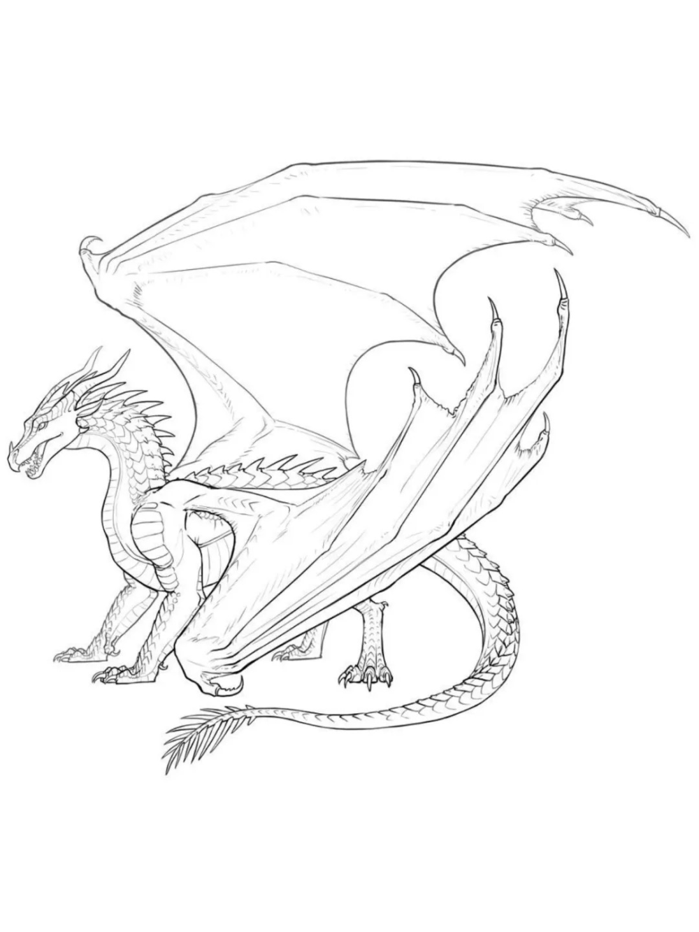 phong cách vẽ rồng trong anime nhật bản