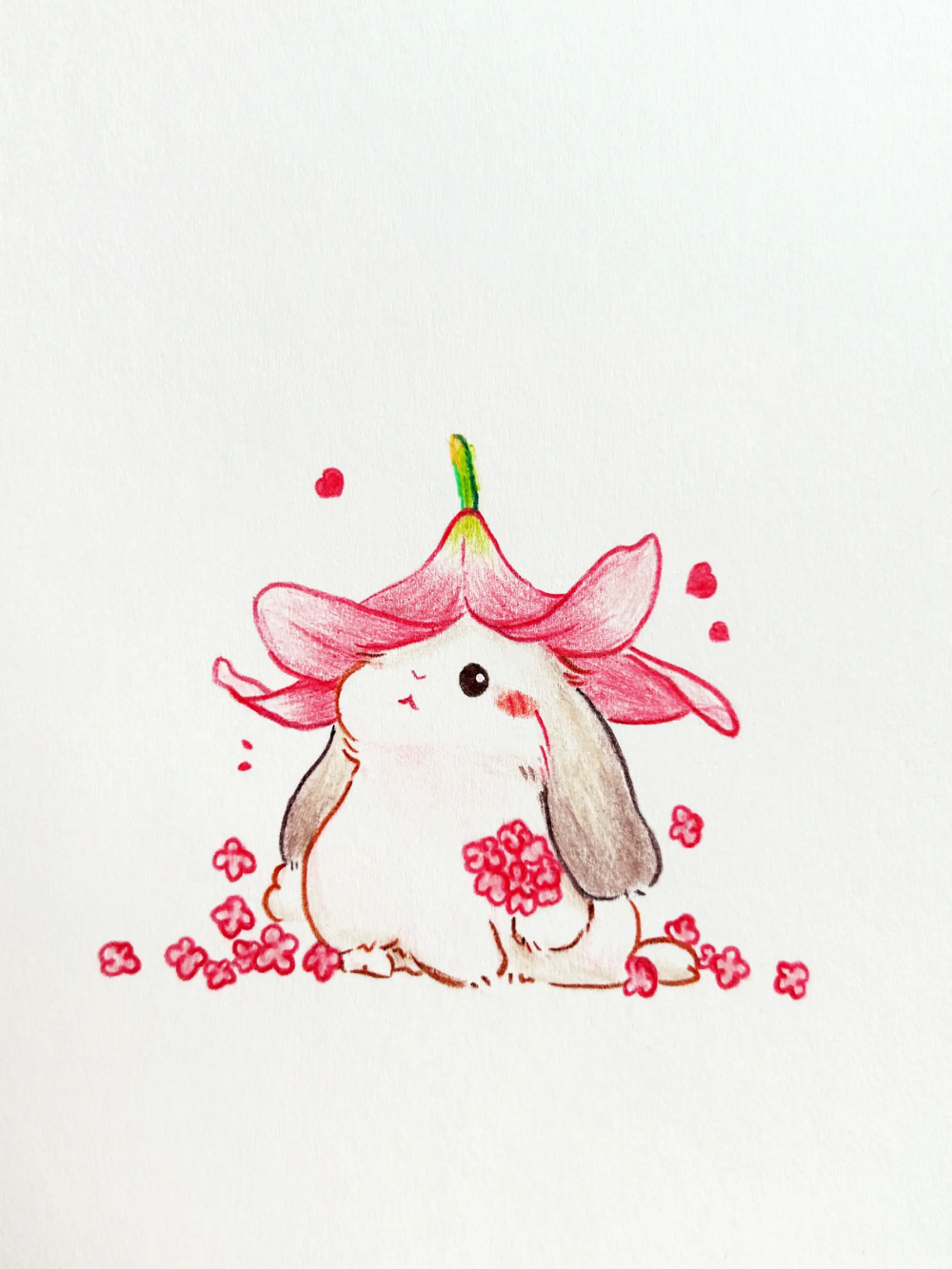 vẽ con thỏ cute phong cách anime nhật