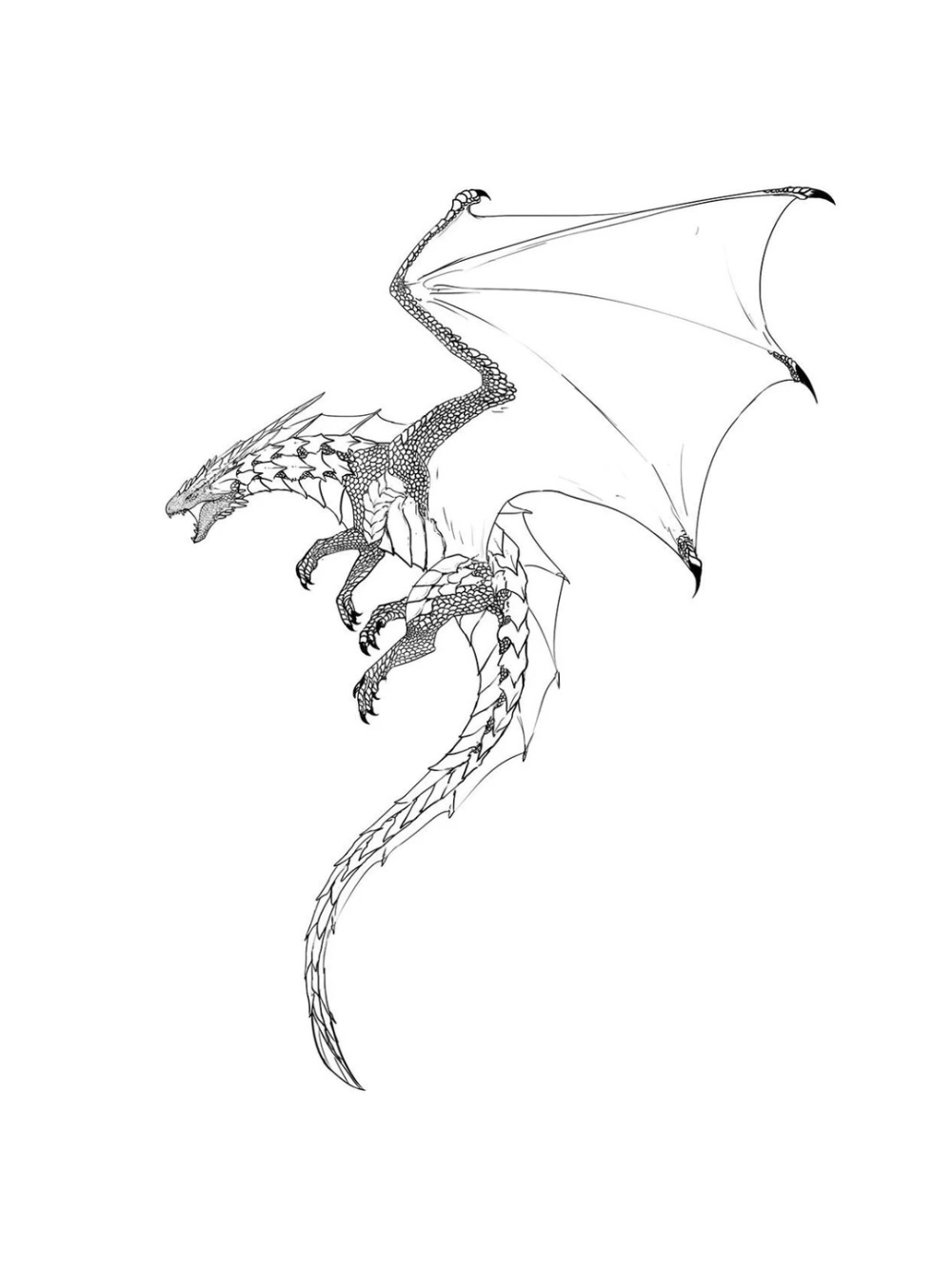 vẽ rồng trong anime phong cách fantasy